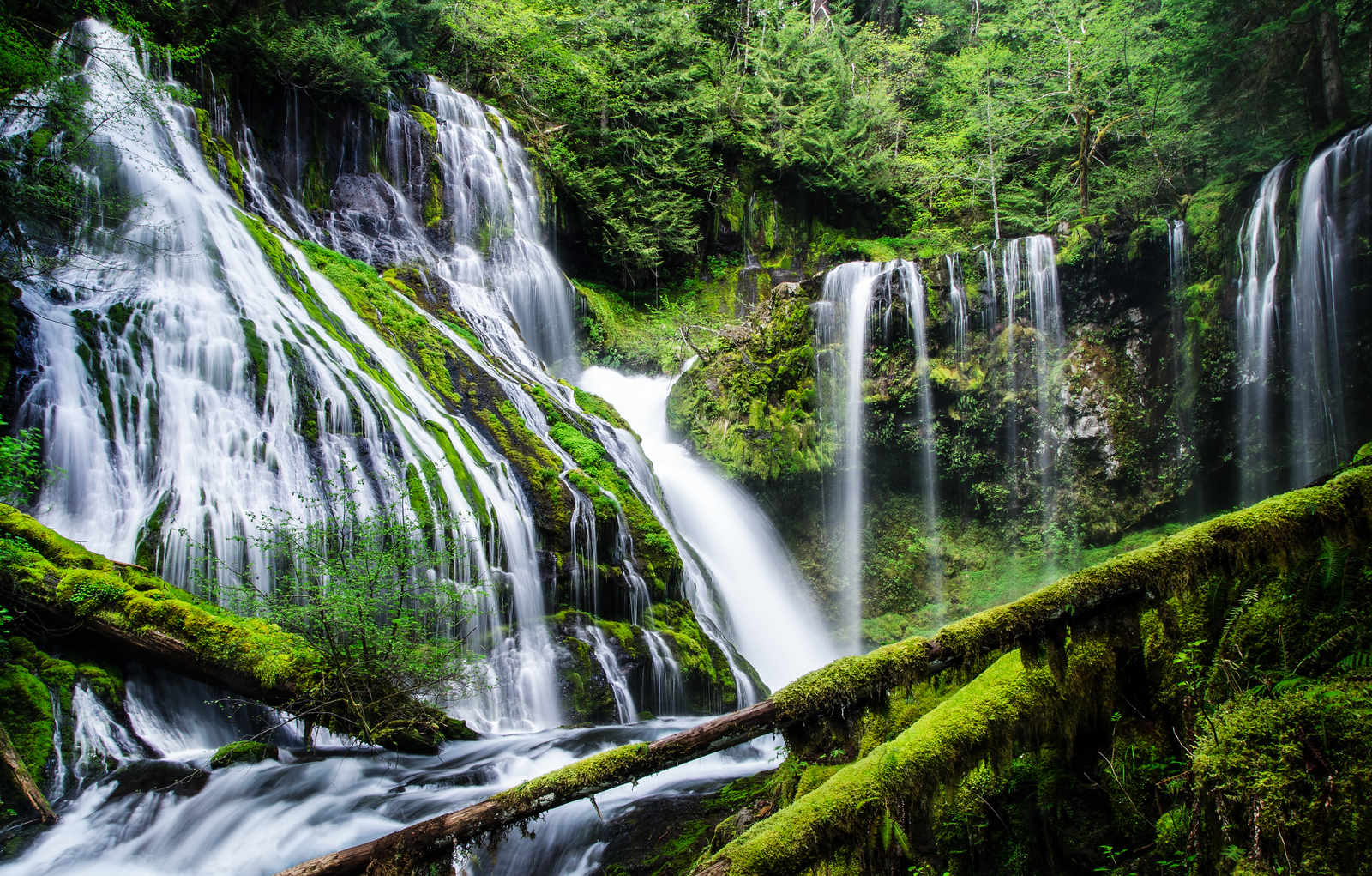 Panther Creek Falls