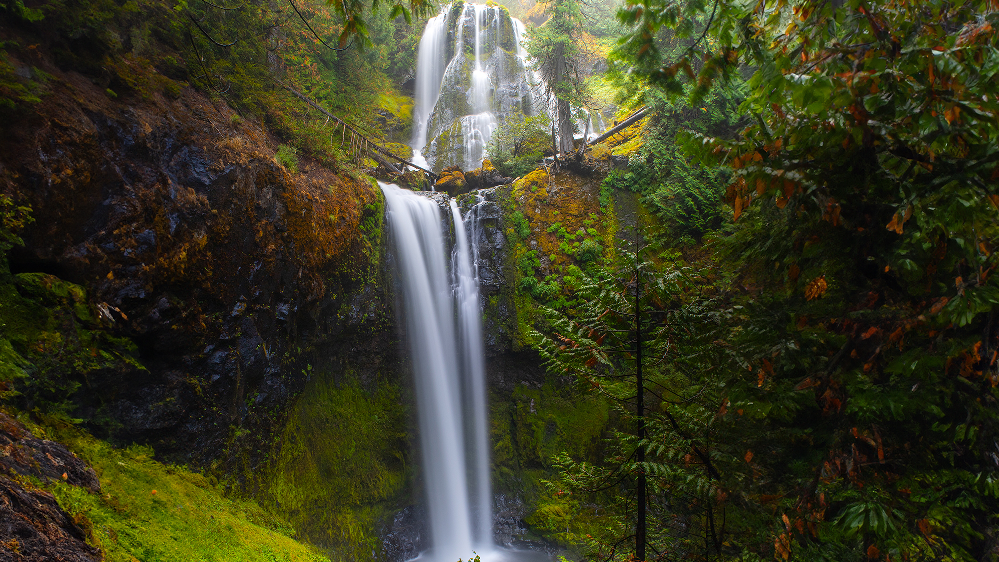 Falls Creek Falls