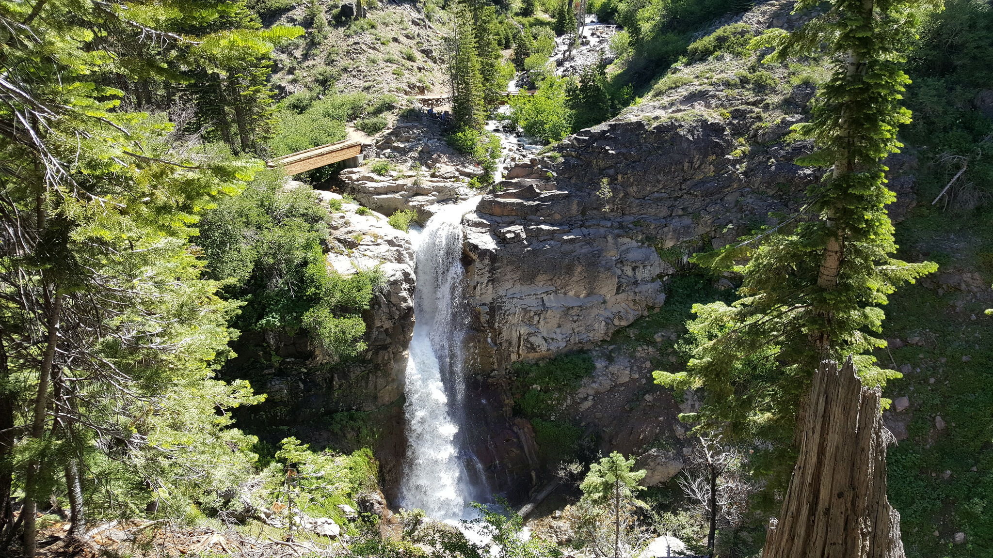 mill creek falls