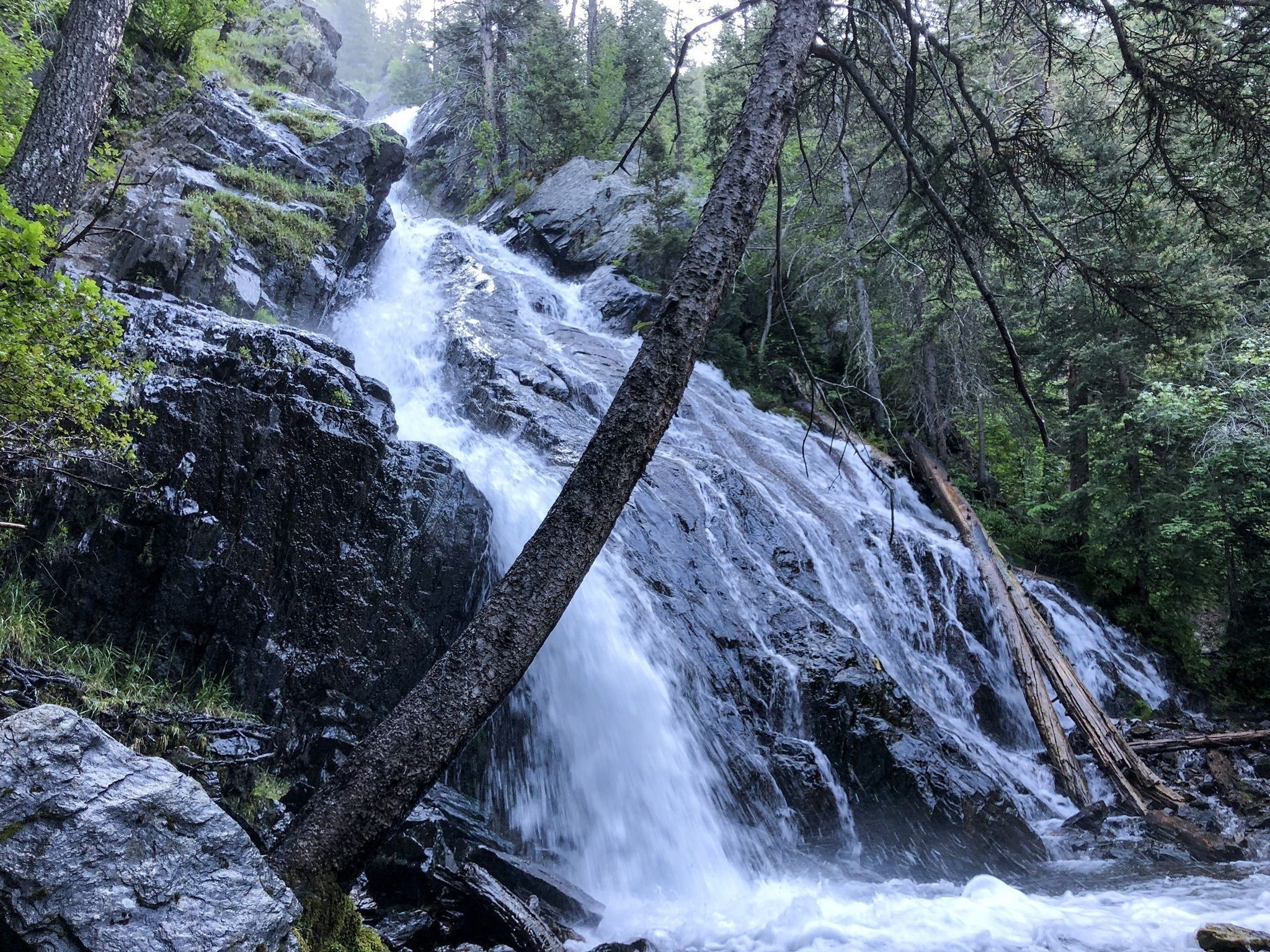 Pine Creek Falls