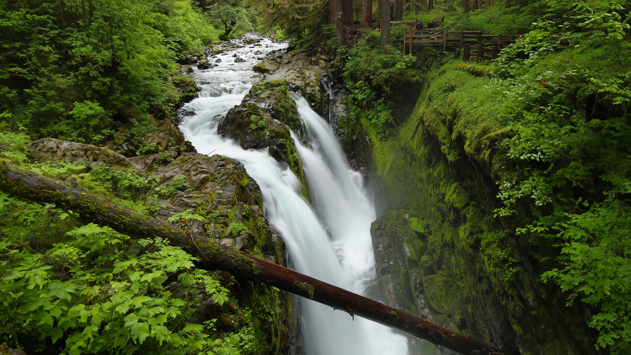 Sol Duc Falls