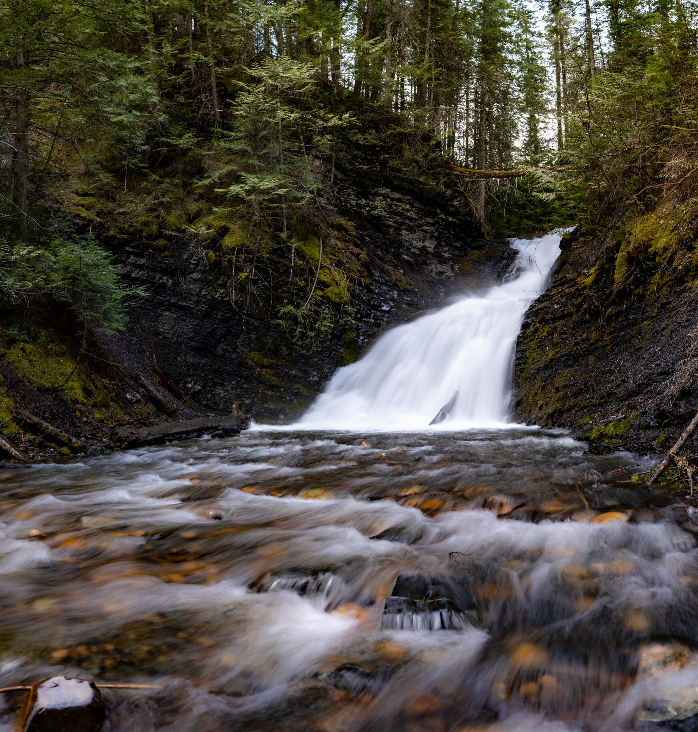 Sweet Creek Falls