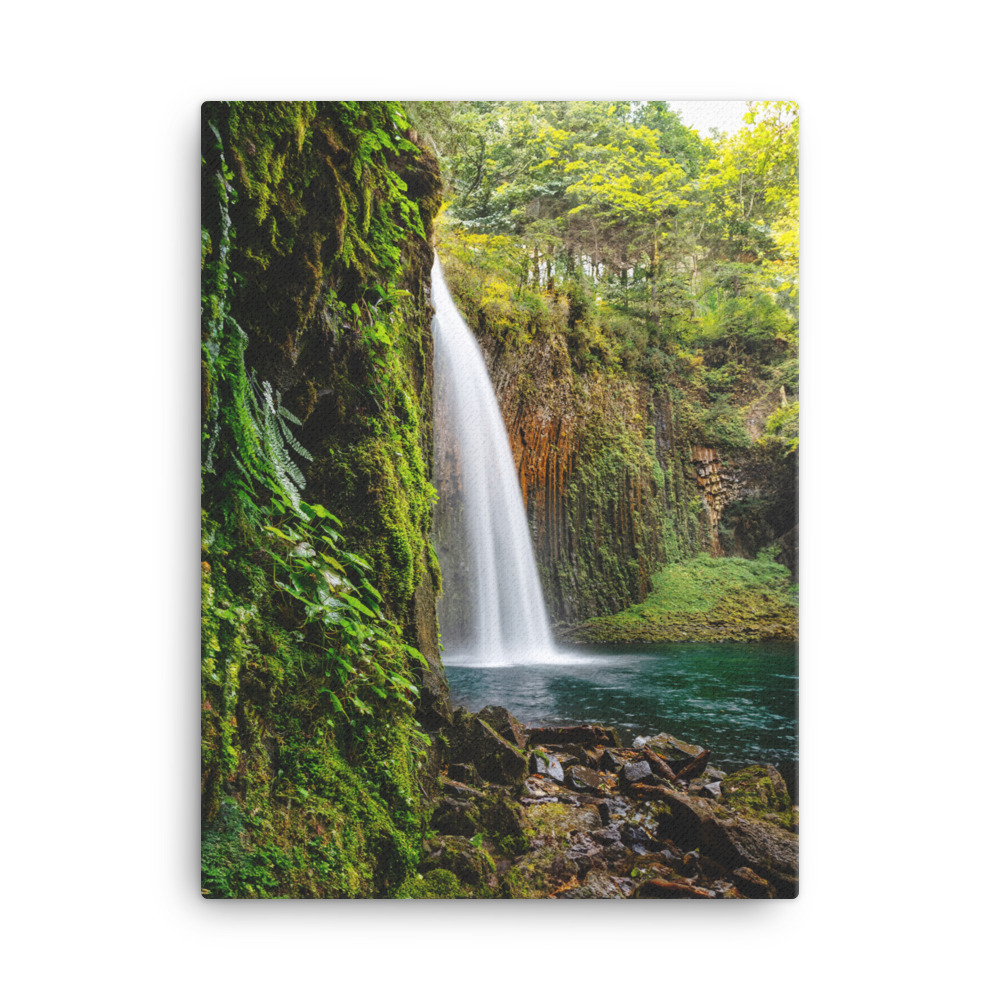 Abiqua Falls Canvas Print