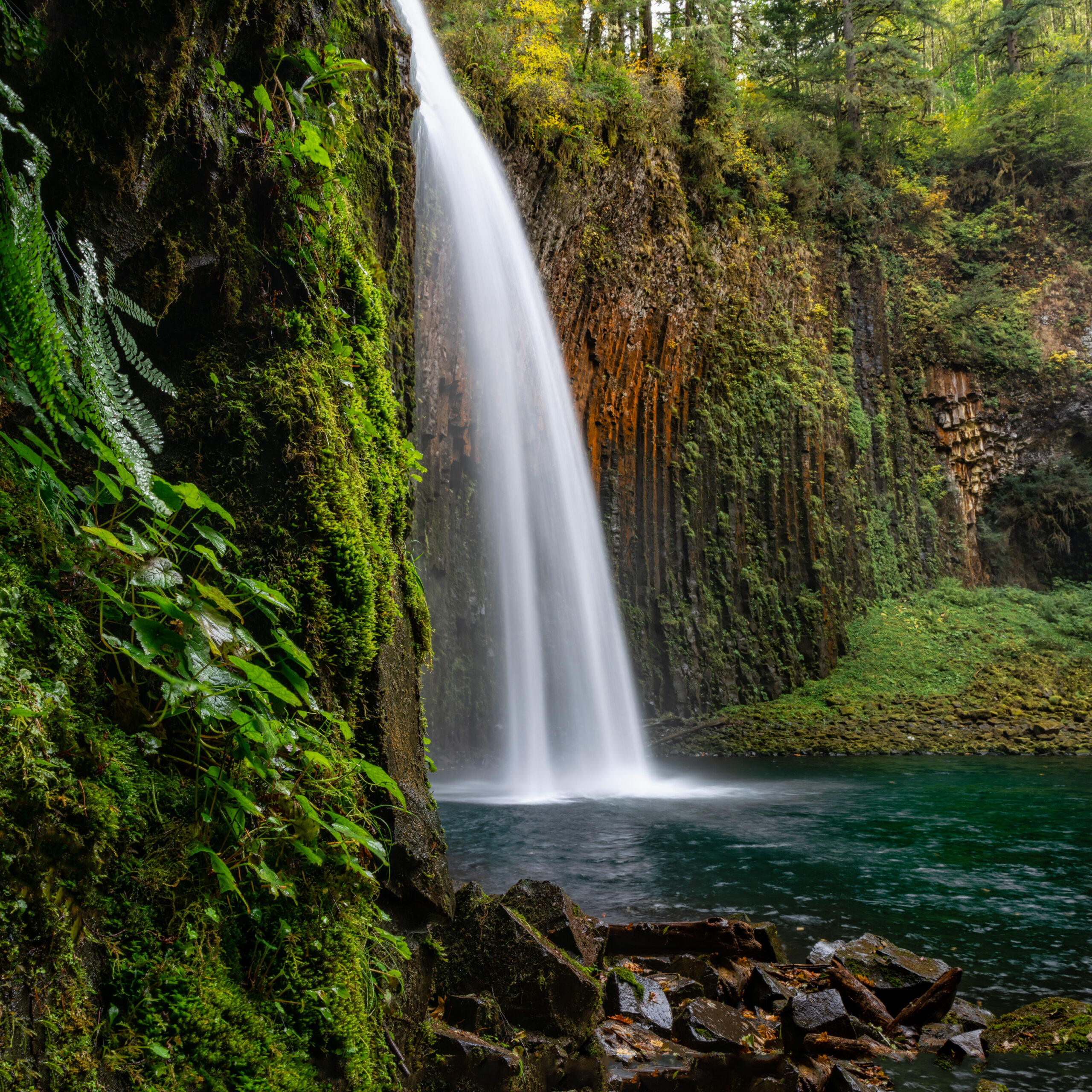 Abiqua Falls Profile Canvas Print by Miles Bergsma